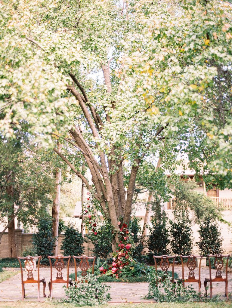 Tree with climbing flowers at a Dallas outdoor elopement